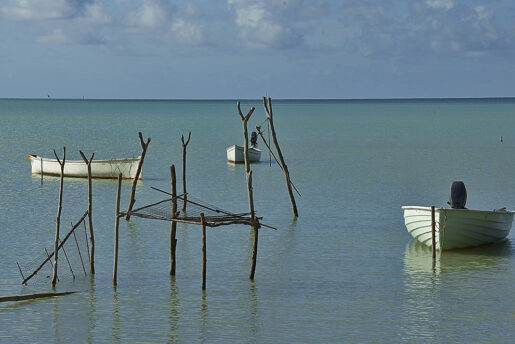 01-Barques amarées en mer